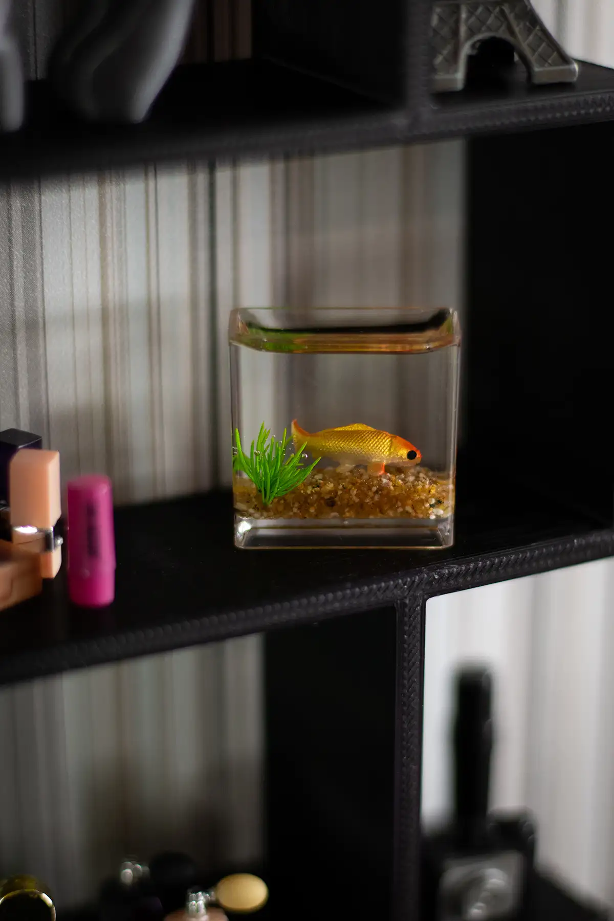 Miniature goldfish tank displayed on a black bookshelf