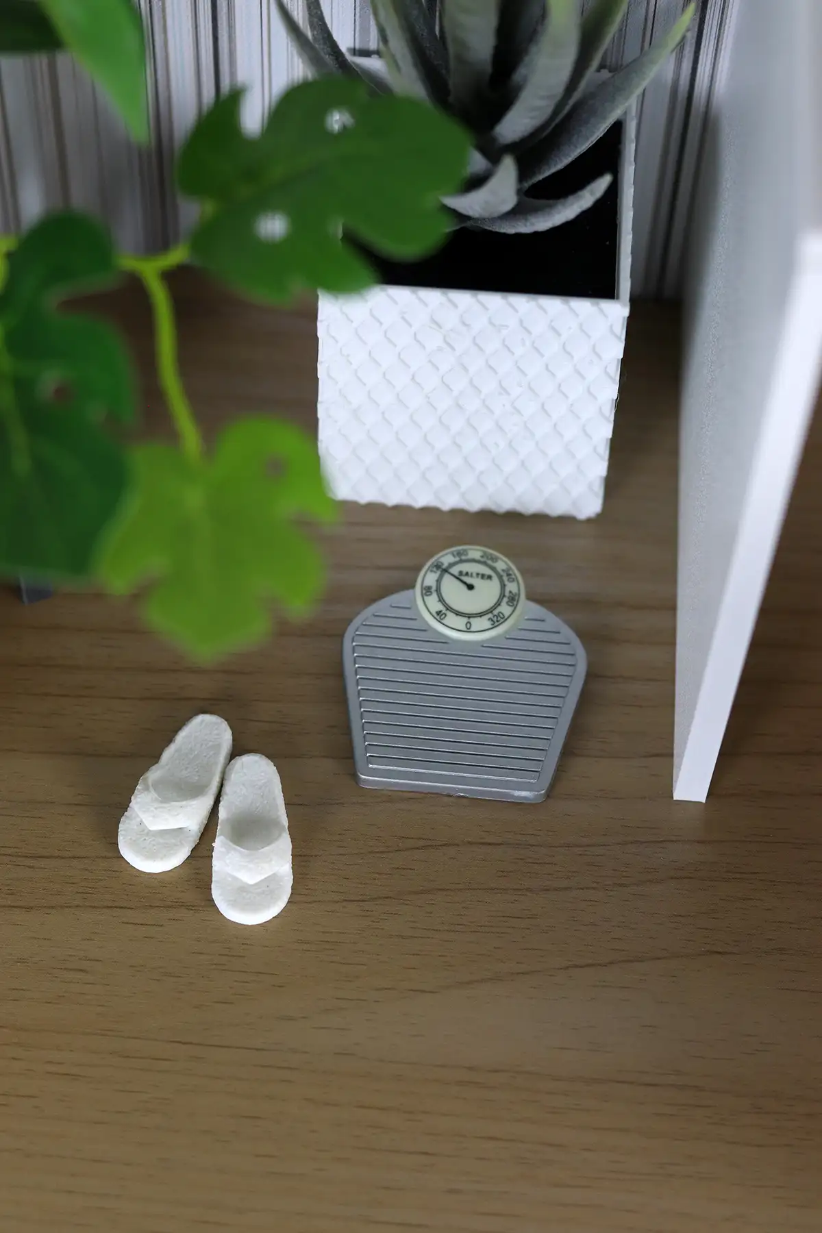 Miniature houseplant, bathroom scale and white slippers